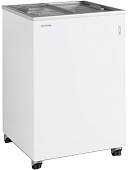 Ларь морозильный TEFCOLD IC100SC